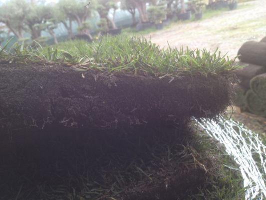 Pavé de gazon pour stade de foot endommagé, Grimaud
